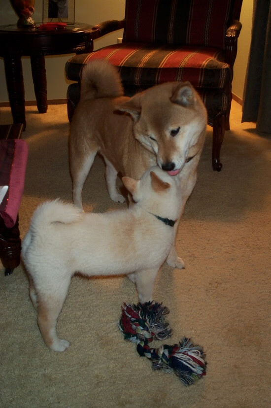 kaiyun.com-全国青少年“篮球成长路”线上故事征集全面展开,青少年关于篮球的书籍推荐